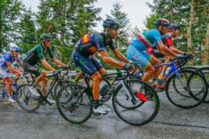 bettiniphoto_0216193_1_full_670