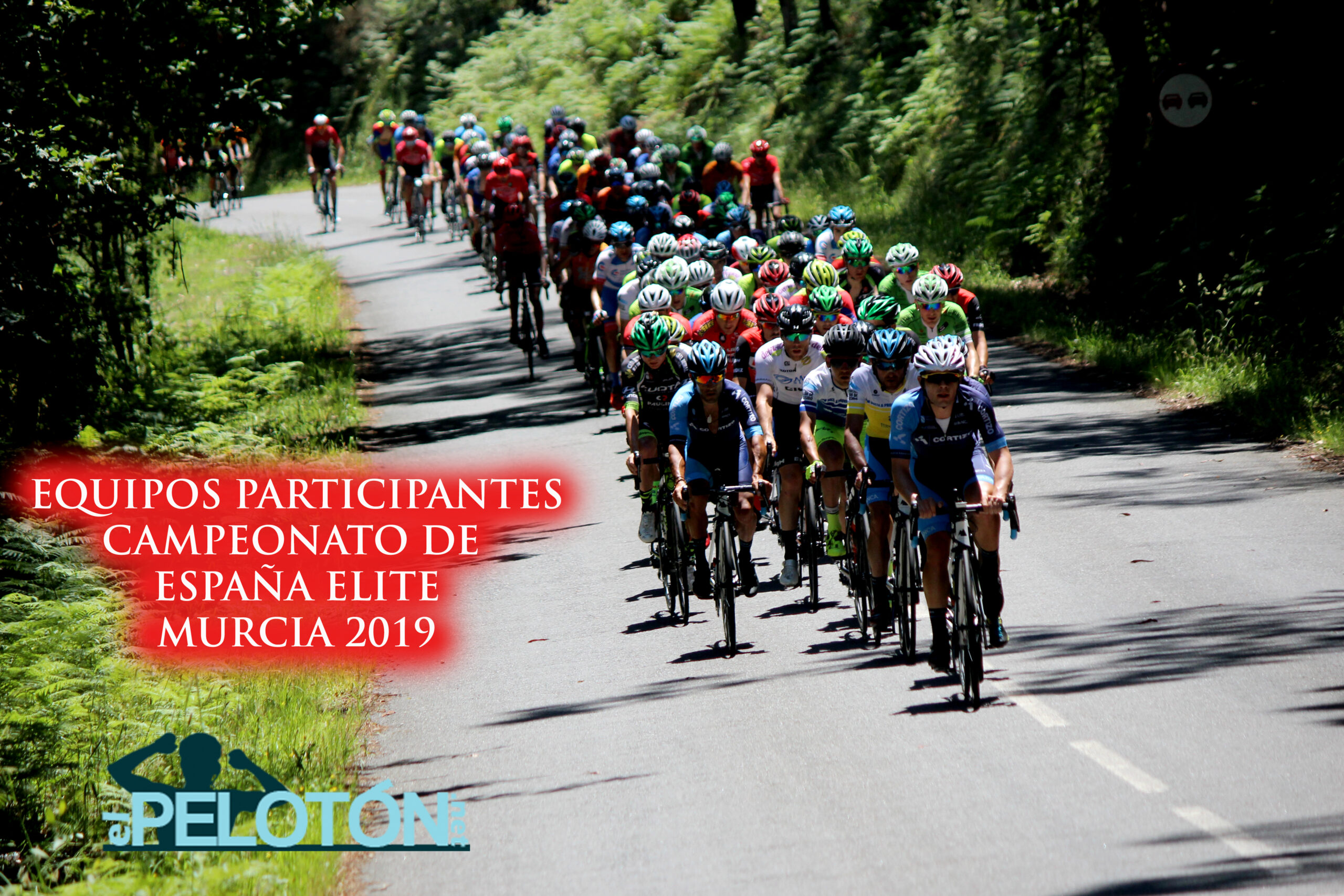 Equipos participantes Élite Campeonato España Murcia