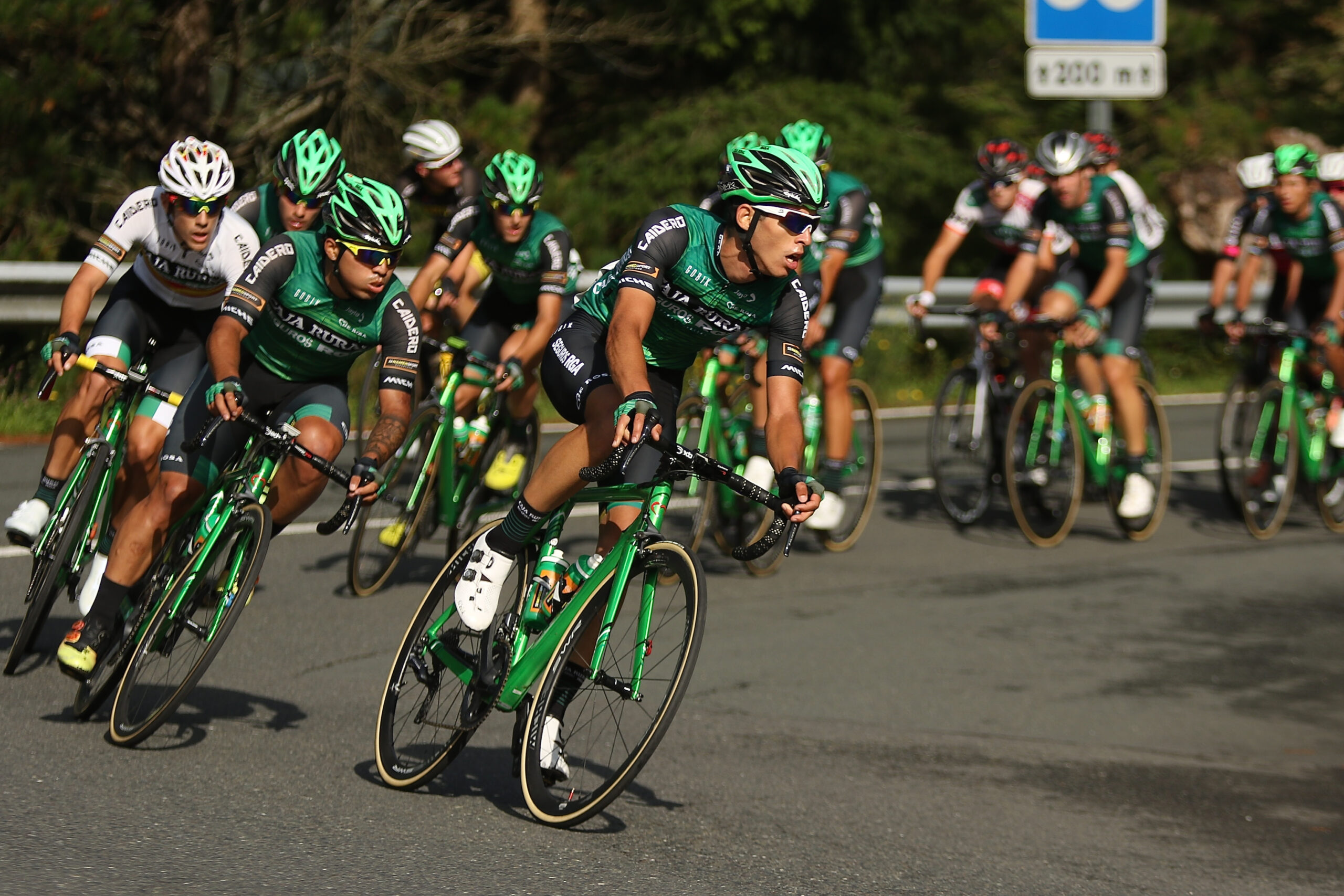 Caja Rural Seguros RGA 2019