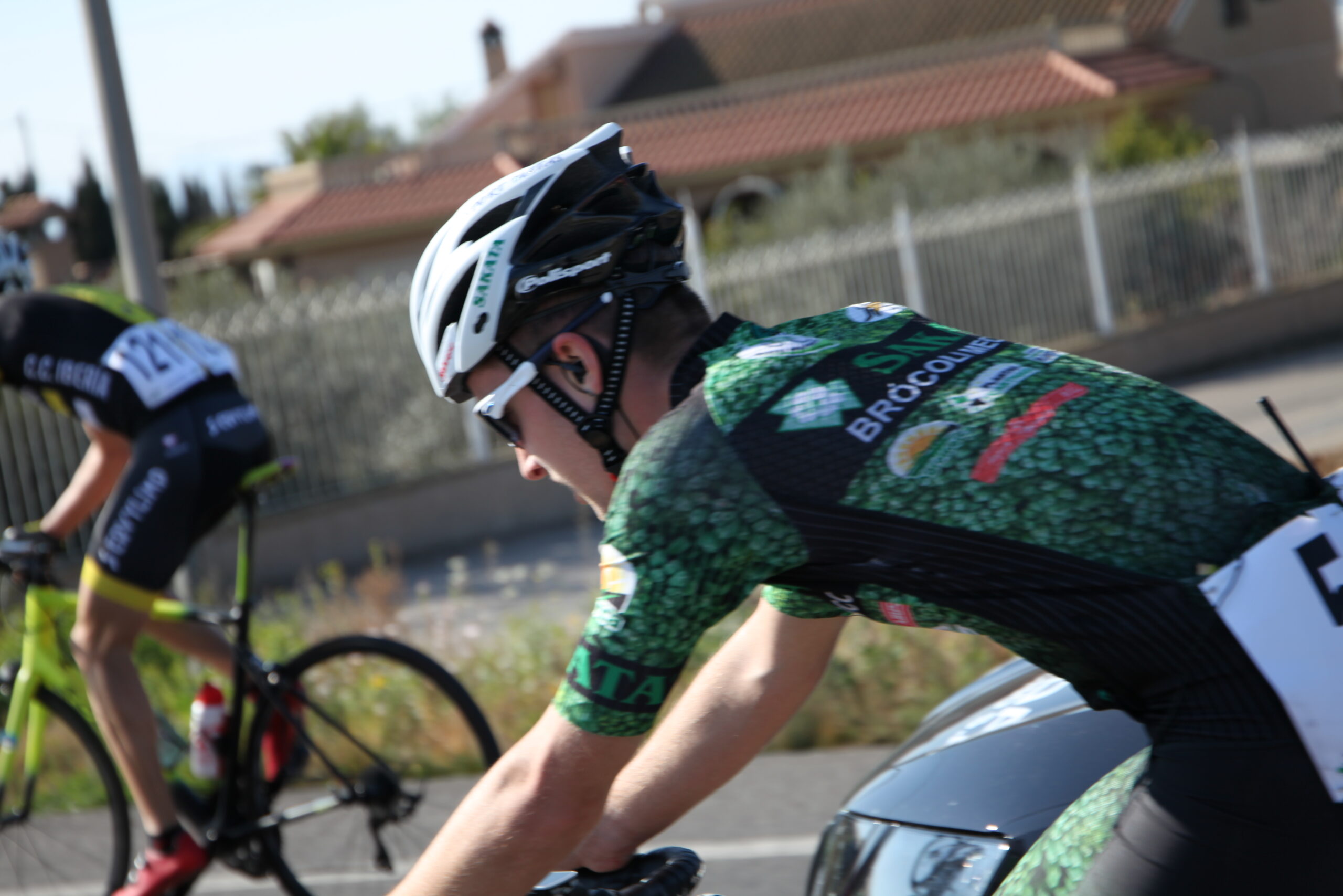 Brocoli Mecanico 2019