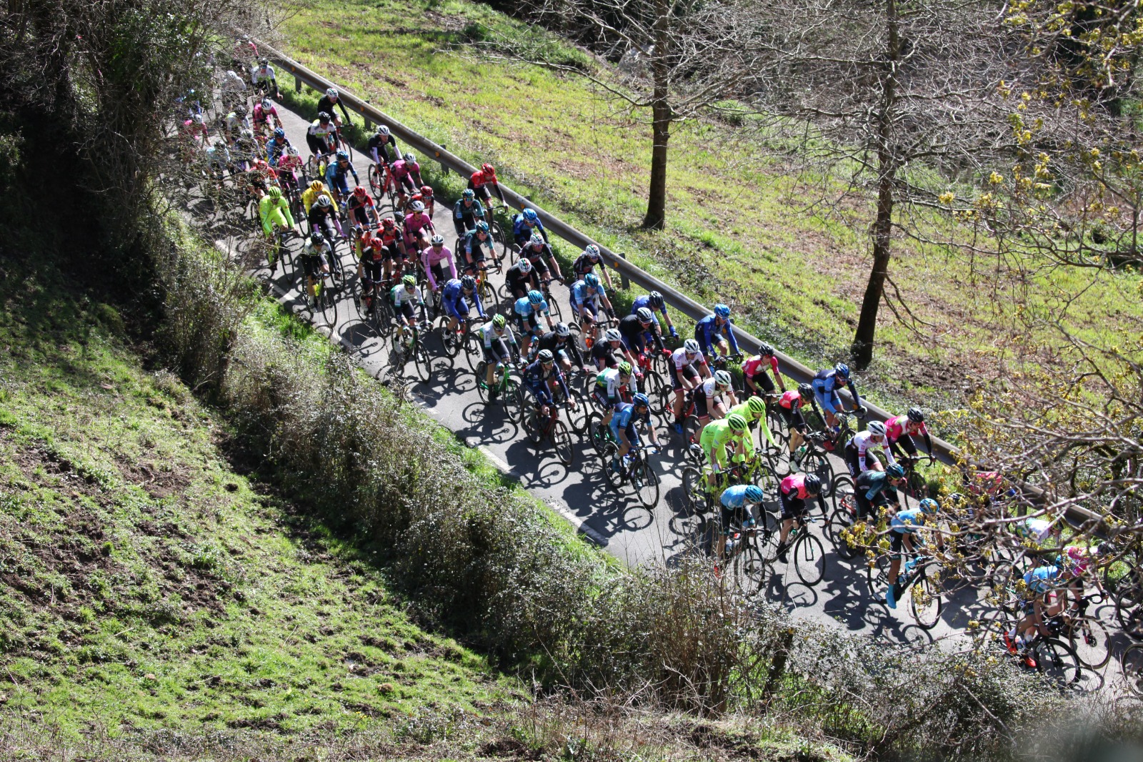 El pelotón. La mejor agencia de Marketing digital ciclismo
