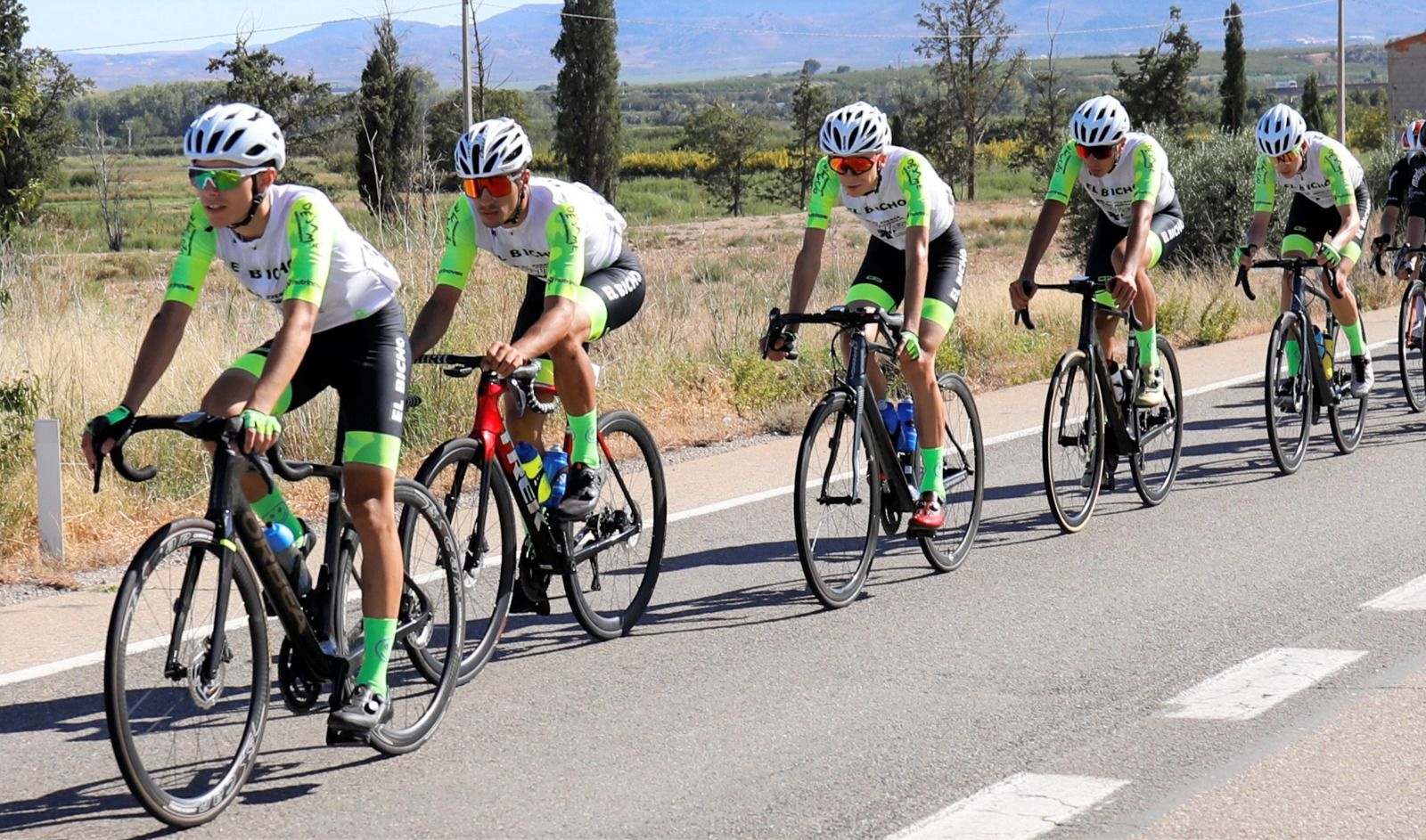 Bicho Vuelta Hispania 2023