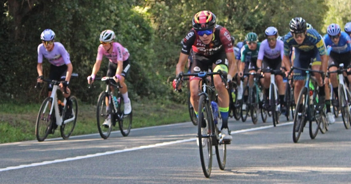 Torres Barceló Team
