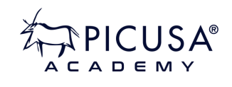 Picusa Academy