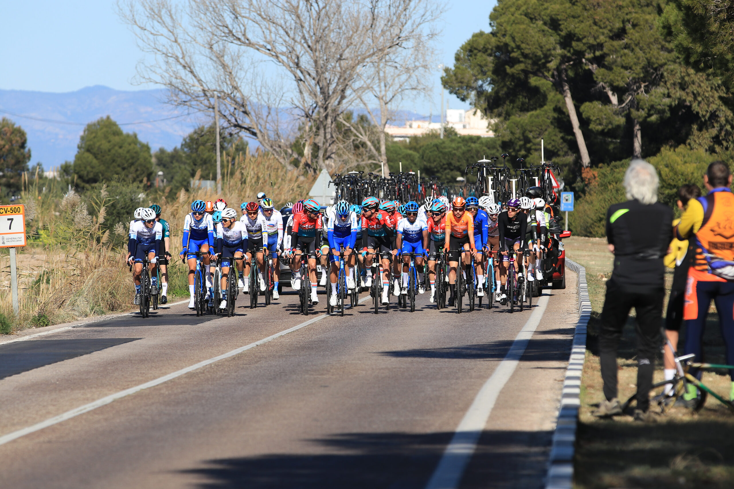 Pelotón Profesional
