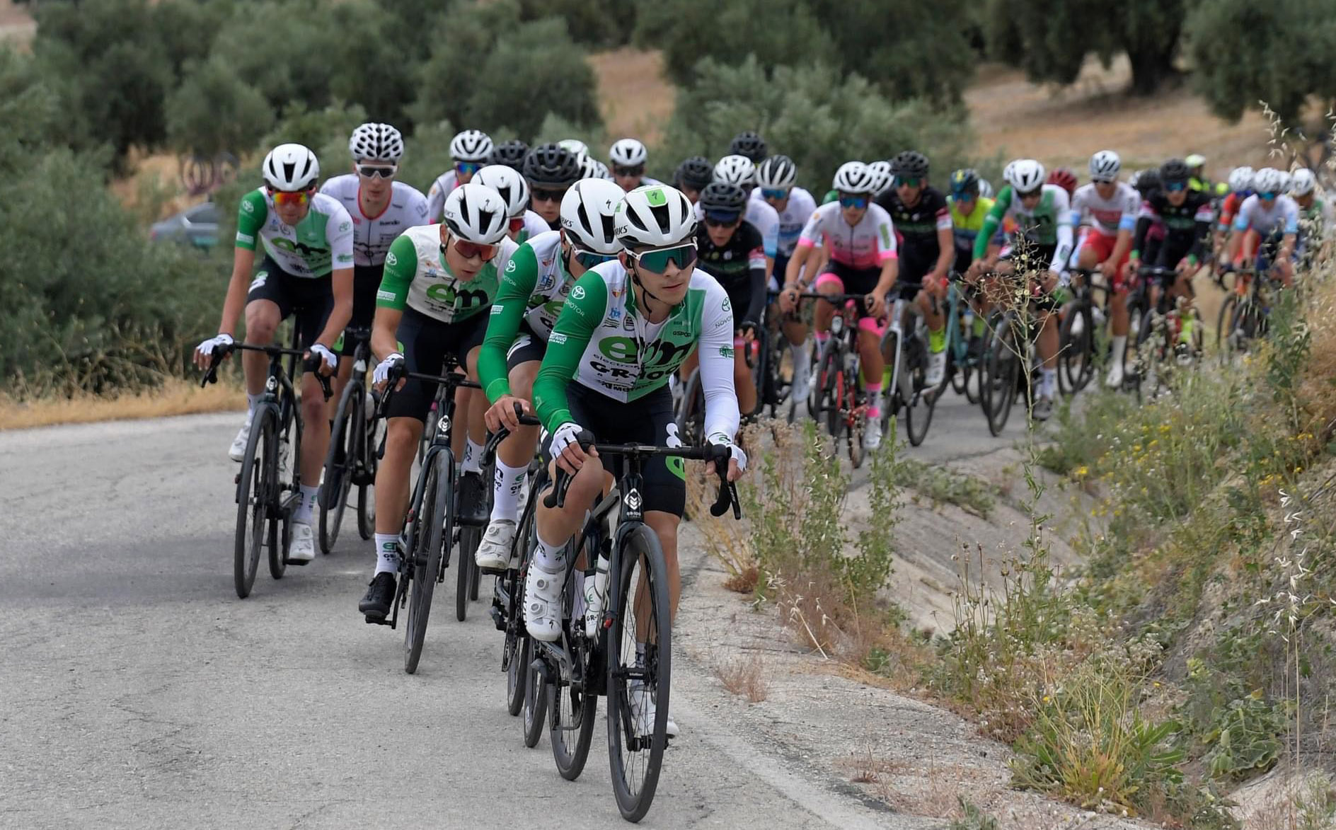 Electromercantil_GR100 en And