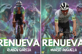 renovaciones bicho