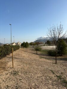 El Pelotón La urbanización Castalla Internacional acogerá el Trofeo Joaquín Ortega de ciclocrós