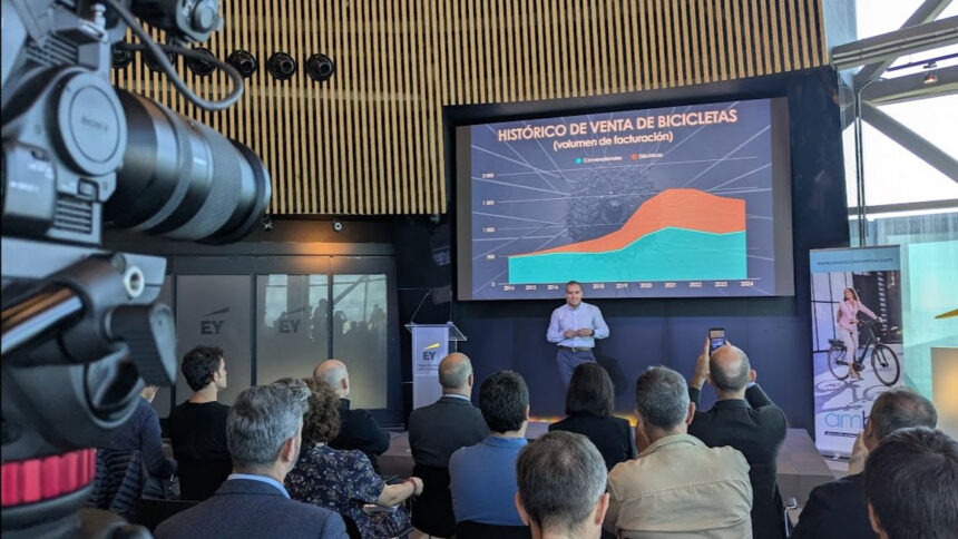 AMBE Informe Bicicleta 2024