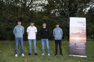 Cabanillas Agirre Buteau Arrizabalaga Smartlog Nest