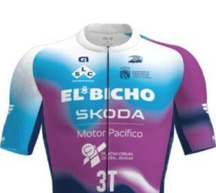 El Bicho Plataforma Central Iberum SKODA Motor Pacífico