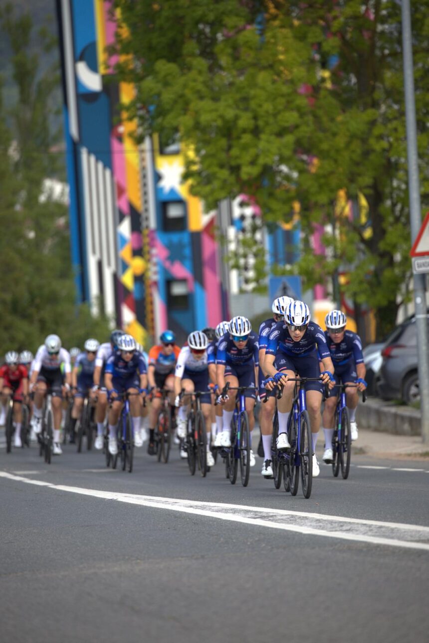 ALIMCO CAMPAGNOLO 2026
