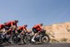 Smartlog Nest Cycling
